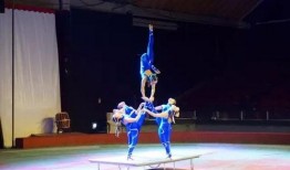 杂技技能爆料视频下载,视频爆料背后的惊险技巧与幕后故事