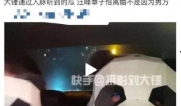 大锤爆料最新消息视频,揭秘视频背后的惊人真相